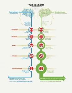 Fixed and growth mindsets